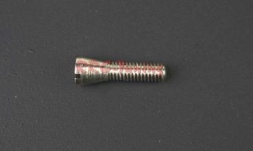 Collector screw