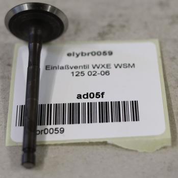 Einlaßventil WXE WSM 125 02-06