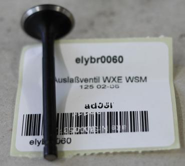 Auslaßventil WXE WSM 125 02-06