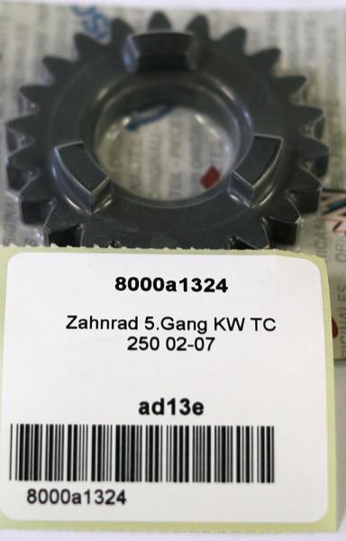 Zahnrad 5.Gang KW TC 250 02-07