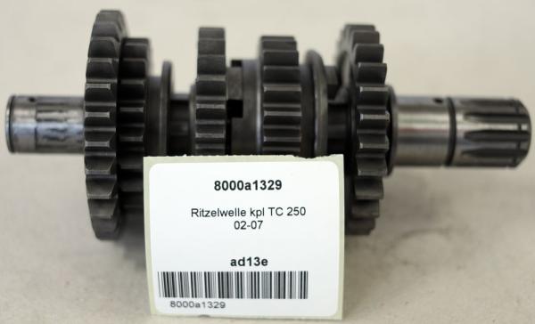 Ritzelwelle kpl TC 250 02-07