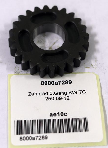 Zahnrad 5.Gang KW TC 250 09-12